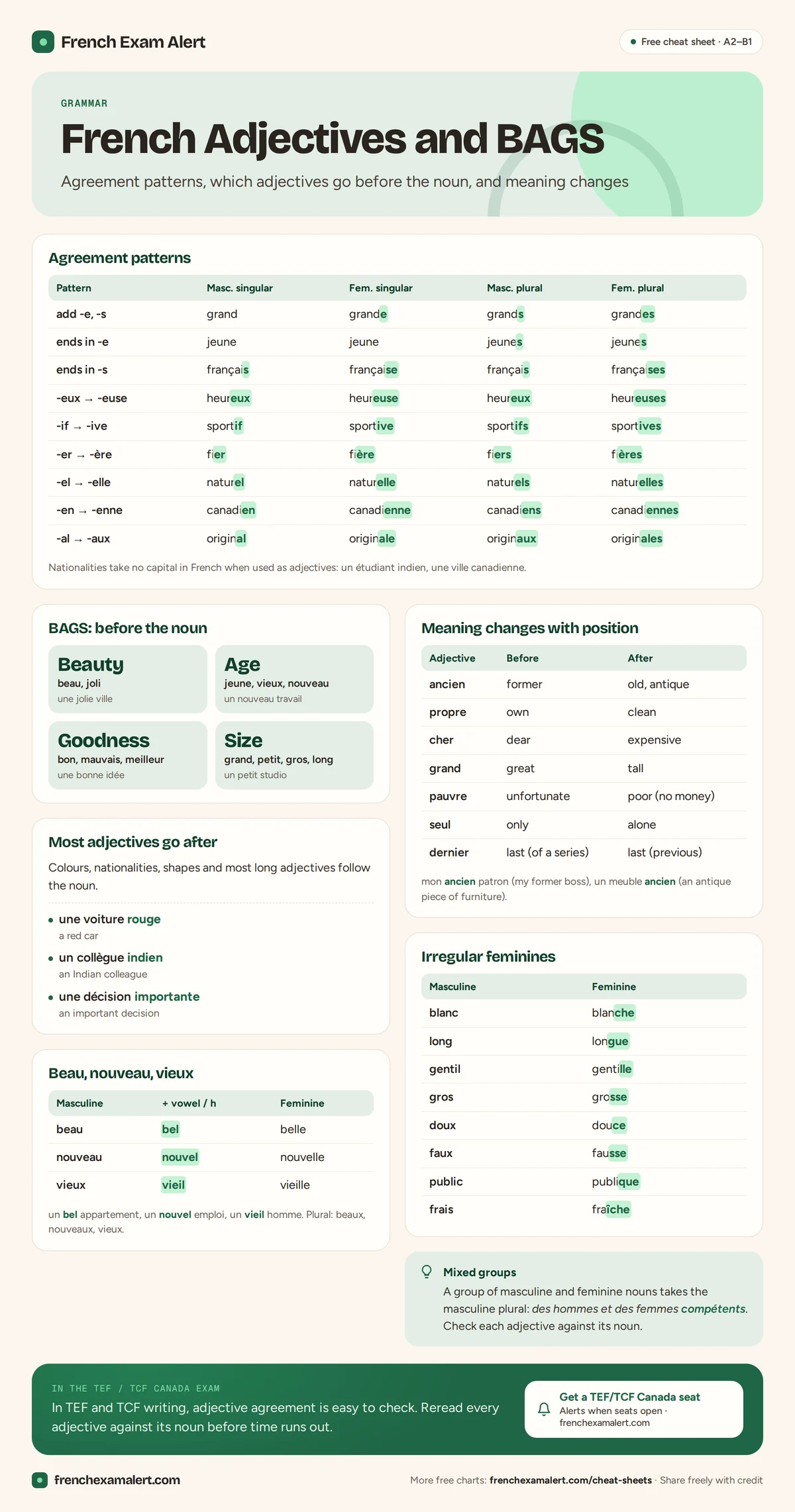 French adjectives chart: agreement endings, the BAGS rule, bel nouvel vieil, and adjectives that change meaning with position